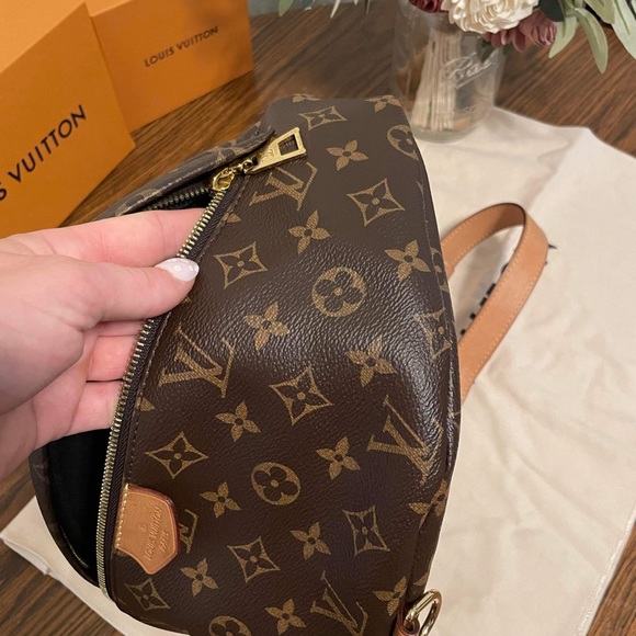 Louis Vuitton Monogram Bumbag - Picture 7 of 16